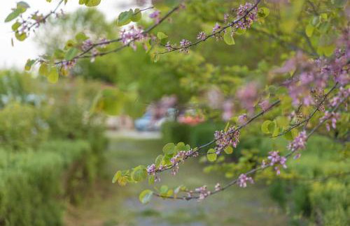 Πέτρινη εξοχική κατοικία, Λάρισα - Foto 7
