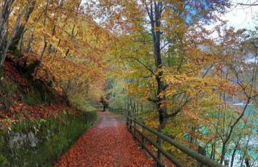 Colori nel parco - Foto 15