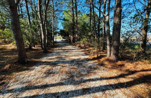 The Landings 12127 - Foto 10