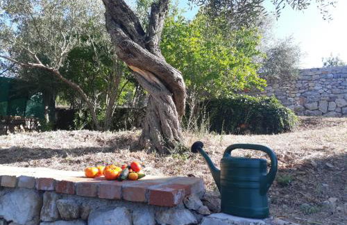 Villa Ella - Foto 53