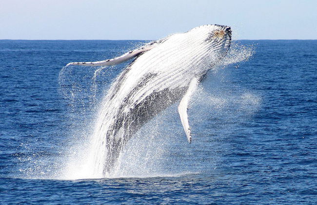 One Mile Retreat - Foto 15