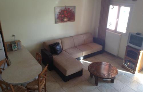 Dogis Retreat - Foto 22