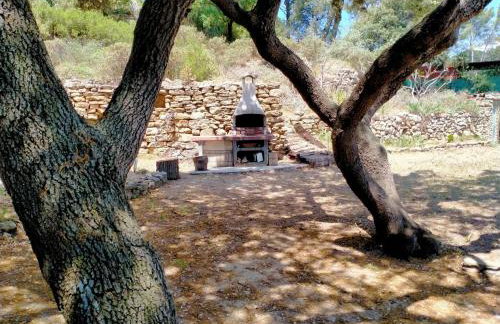 Gîte du domaine de l'Arbre de Vie - Foto 16