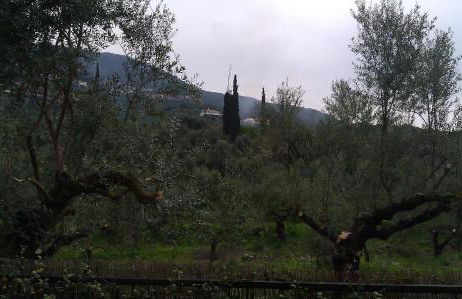 Katerina Apartments - Photo 38