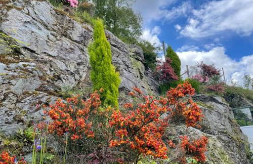 The Moorings - Foto 49