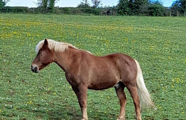 Stroud's Golden Valley 2-bedroom Apartment Retreat - Foto 7