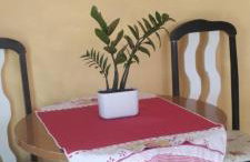 Lucy teles - Foto 26