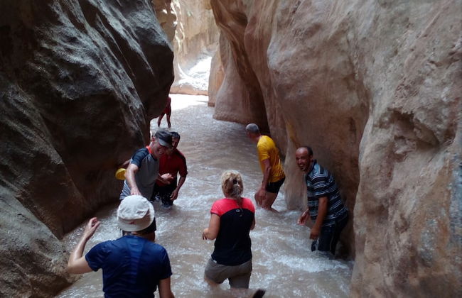 Room-gîte Tawada - Haut-atlas - Room for - Photo 25