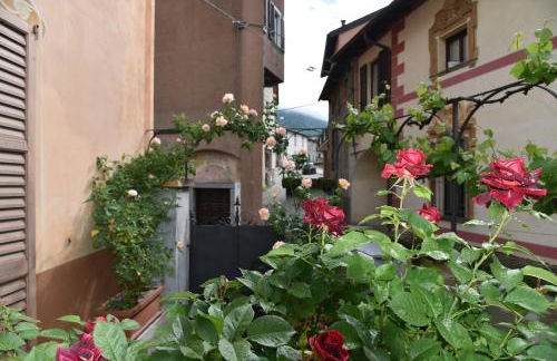 La Rosa al Roseto del Drago - Foto 10