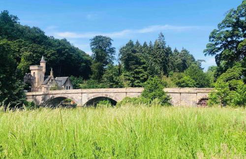 The Orchard Apartment, Clyde Valley - Foto 25