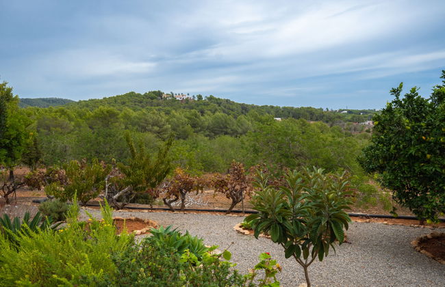 Can Fulgencio II - Foto 29