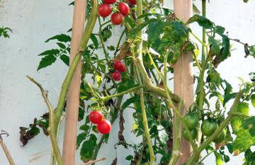 Casa do Maracuja - Foto 58