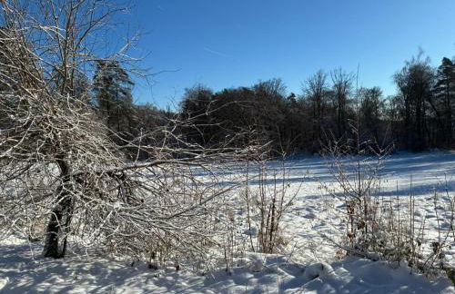 Wellness und Wander Oase Burgwald - Foto 70