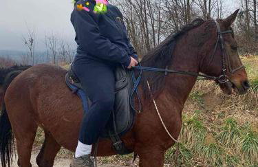 Kuća za odmor Prinčeva oaza - Foto 29