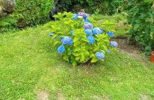 Cabanelas Country House - Casa do Luís - Foto 26