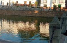 Casa Monte Los Peñasquitos - Photo 35