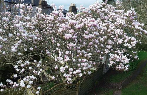 Sandy Toes Cottage - Foto 14