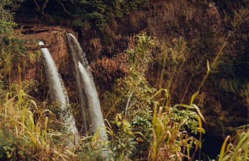 Banyan Harbor Resort - Foto 81