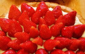 Podere Cartaio Bio Farm, private pool, AirC - Foto 23