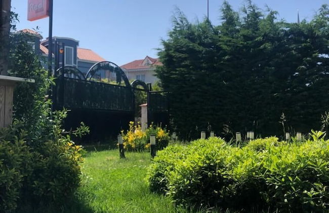 Gis Airport - Photo 17