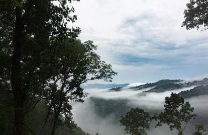 The Spruce Villa where luxury meets nature - Foto 18