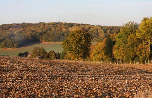 Le Cottage, Maison paysanne au cœur du Vexin - Foto 38