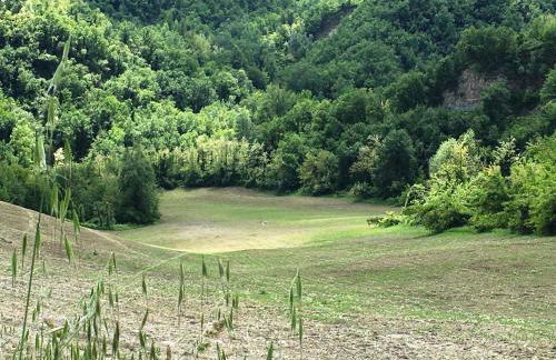 Pizzicalaluna Agriturismo Olistico sulle Colline di Pianoro - Photo 65