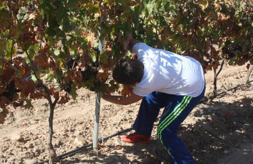 Apartamento Turístico Cigüeña de Alfaro - Foto 27