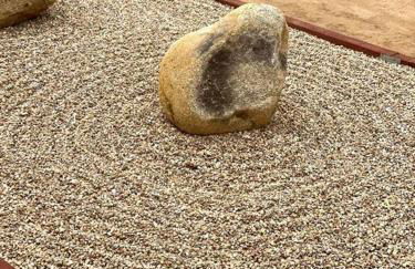 Cryptic Cabin-Tranquil Bohemian Getaway w/Hot Tub - Foto 22