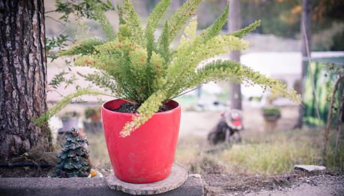 VILLA CHETRUS Casa en plena naturaleza - Foto 5