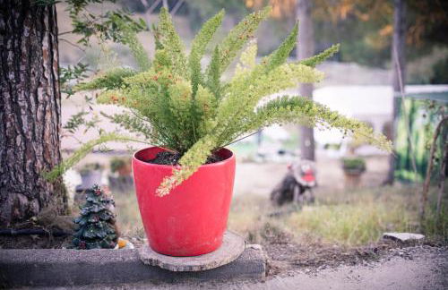 VILLA CHETRUS Casa en plena naturaleza - Foto 5