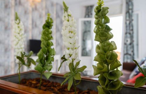 Atico del ROMANTICO Gaditano by Cadiz4Rentals - Foto 8