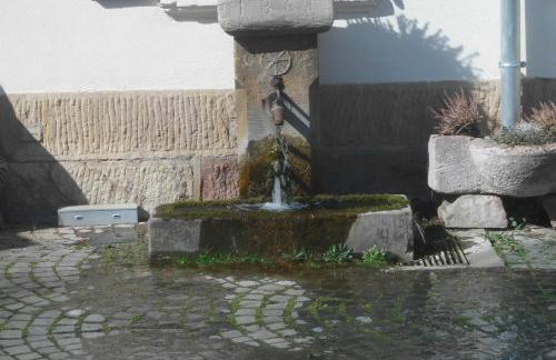 Ferienhaus Pfalzklause - Foto 39