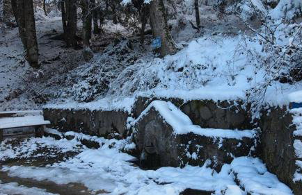 Livadaki Village - Δασικό Χωριό Λιβαδάκι - Foto 78