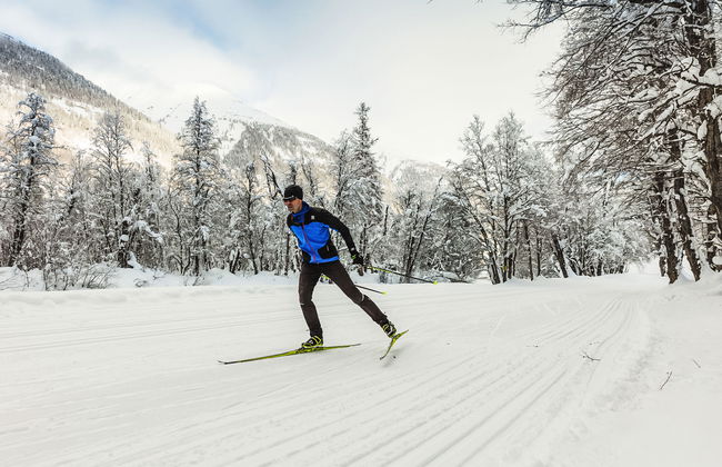 Aragon P36 - Foto 72