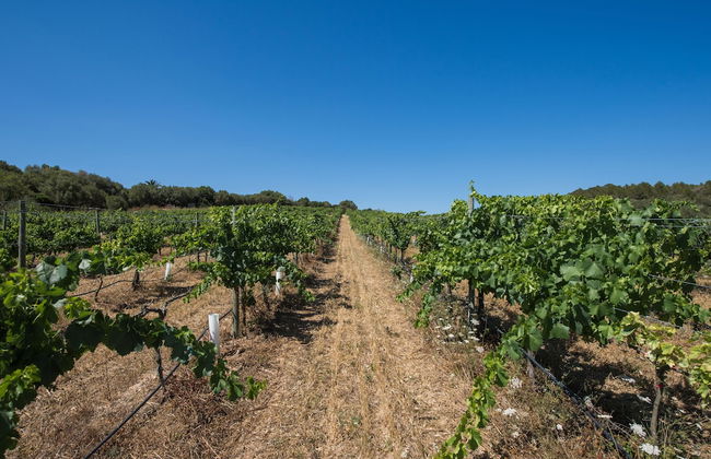 Hotel Rural Can Feliu - Photo 50