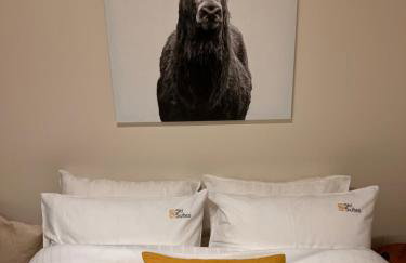 Ski Suites - Family Maisonette Kalavryta - Photo 49