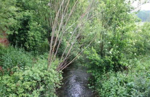 Spacious Cottage With Private Garden in Normandy - Foto 50
