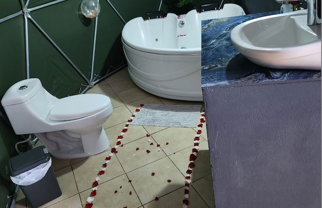 Domo Geodésico 01 - Foto 10