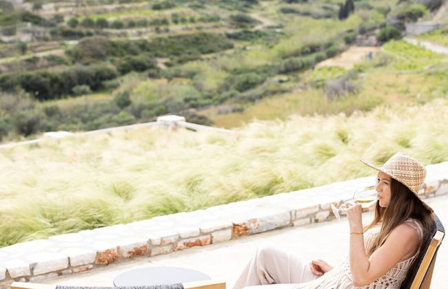 Akrotiri Estate Naxos - Private Hillside Estate - Foto 42