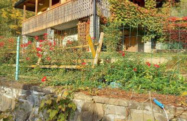 Kalinowa Chata - Foto 7