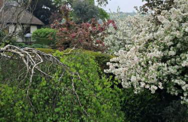 Parrs cottage - Foto 38