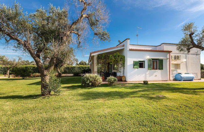 Podere Corde di Lana - Foto 25