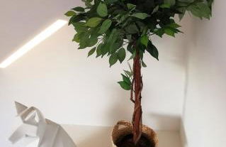 Cosy Normandy - 01 - Foto 13