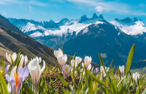 Cosy 28m² Balcon vue Les Sybelles - Photo 32