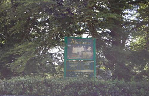 Dryslwyn Cottage - Foto 46