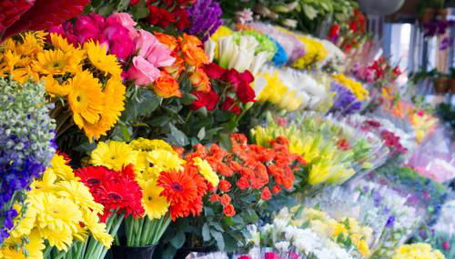 Central & Spacious Miraflores Alicante - High Rated - Foto 2