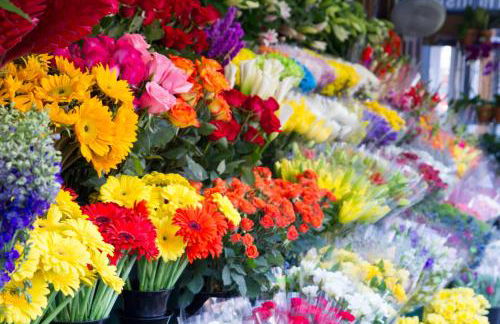 Central & Spacious Miraflores Alicante - High Rated - Foto 2