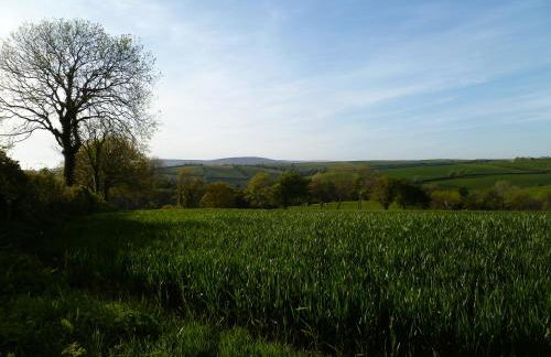 Orchard Loft - Foto 29