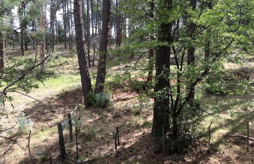 Cabin Getaway near to Pine, Arizona that is Perfect for a Family Vacation - Foto 26